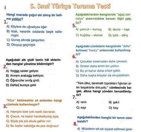 5 sınıf türkçe genel tarama testi